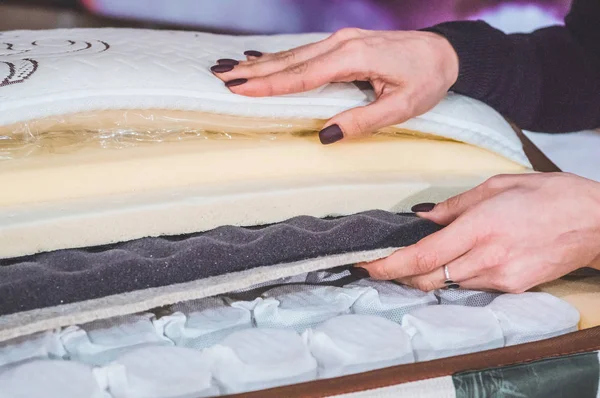 Yatak dolgusu. Hindistan cevizi coir, doğa para lateks lastik, hafıza köpüğü bağımsız bahar