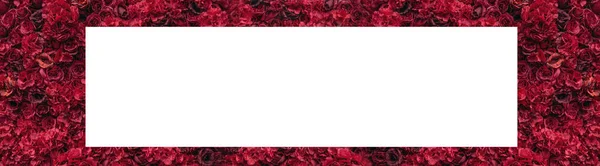 Beautiful red roses. Flower wall. Close-up of huge red roses. Place for text