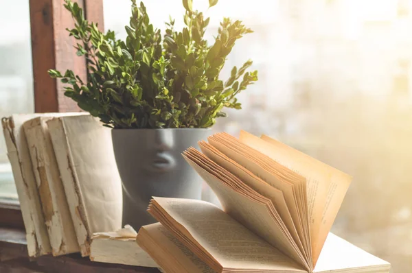 Libri aperti sul davanzale della finestra vintage con un bellissimo vaso di fiori. Contesto dai libri — Foto Stock