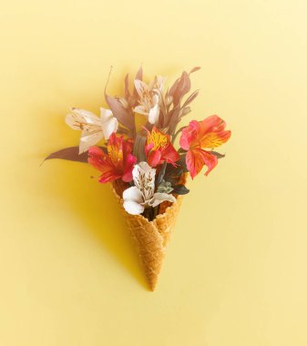 Çiçekler kompozisyon. Bahar, Paskalya konsepti. Düz yatıyordu, üst görünüm