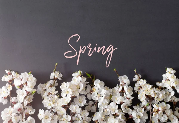 Festlicher Hintergrund für die Frühjahrsferien. Frühlingsblumen auf schwarzem Hintergrund. Aprikosenblüte. Ansicht von oben — Stockfoto
