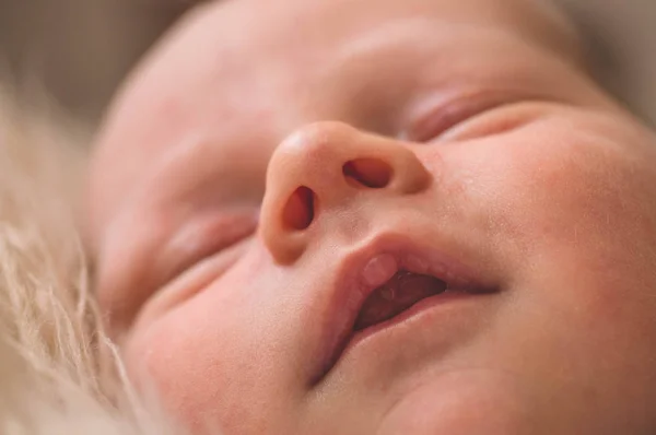 귀여운 신생아 아기 소년은 부드러운 격자 무늬에 싸여 잠들어 있습니다. 신생아와 어머니. — 스톡 사진