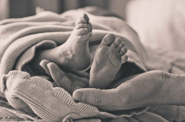 Female hand holding her newborn baby legs. Mom with her child. Maternity, family, birth concept — Stock Photo, Image