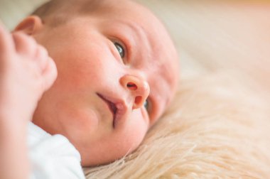 Sevimli yenidoğan bebek erkek bebek uykuda yumuşak bir ekose sarılmış. Yeni doğan bebek ve anne.