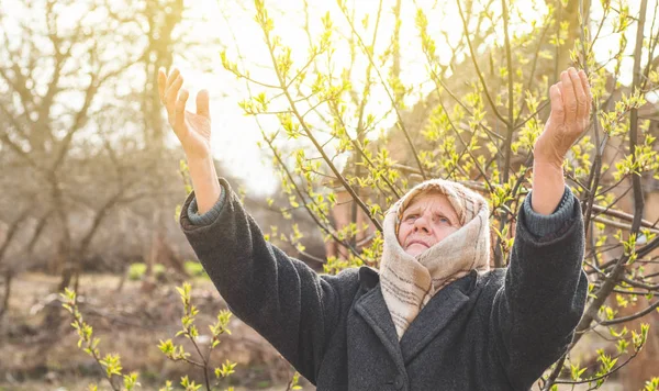 Grandmother pray for faith spirituality and religion. Asking God for good luck, success, forgiveness