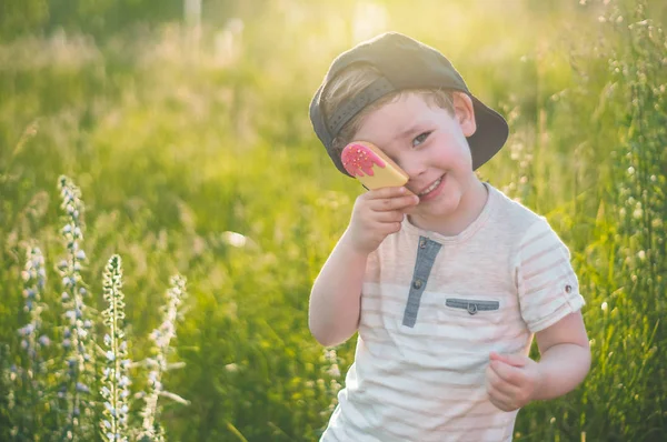 Niño Feliz Comiendo Galletas Forma Helado Los Niños Comen Jardín —  Fotos de Stock