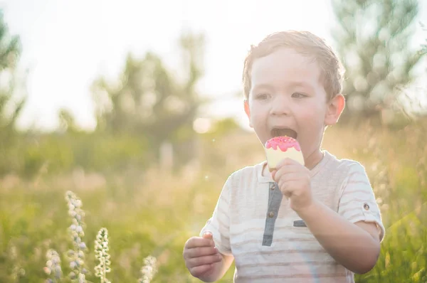 Happy Child eating cookies in the form of ice cream. Kids eat in the garden. Boy in the garden holding ice cream. Happy Boy kid eating ice cream.
