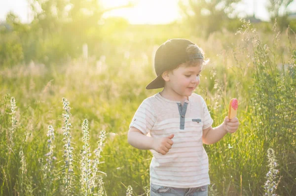Щаслива Дитина Їсть Печиво Вигляді Морозива Діти Їдять Саду Хлопчик — стокове фото