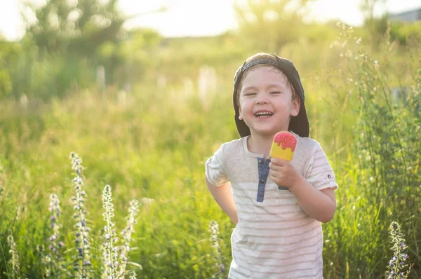 Щаслива Дитина Їсть Печиво Вигляді Морозива Діти Їдять Саду Хлопчик — стокове фото