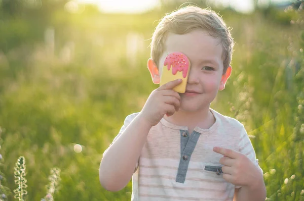 Happy Child Ест Печенье Виде Мороженого Дети Едят Саду Мальчик — стоковое фото