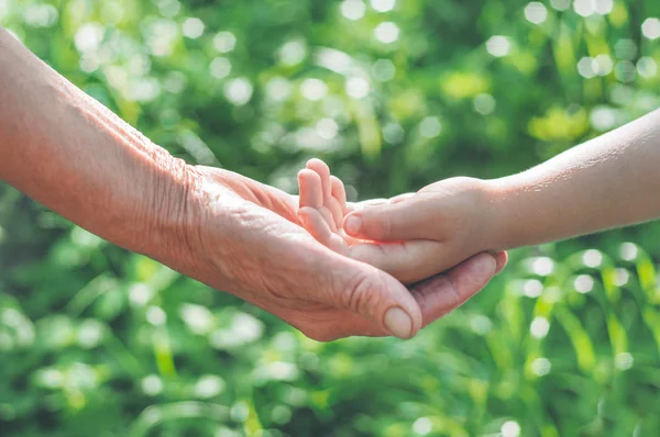 Childs hand and old hand grandmother. Concept idea of love family protecting children and elderly people grandmother Stock Image