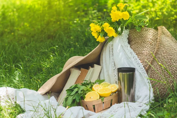 화창한 여름날 밀짚 가방, 책, 모자, 레모네이드, 신선한 레몬 — 스톡 사진