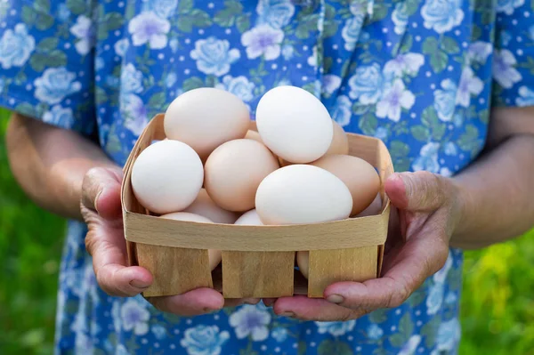 Cute grandmother holds a tray with eggs. Close up with selective focus for eggs or eggs. Royalty Free Stock Photos