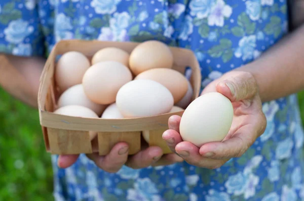 귀여운 할머니는 계란 트레이를 보유하고있습니다. 계란이나 계란에 대한 선택적 초점으로 닫습니다.. — 스톡 사진