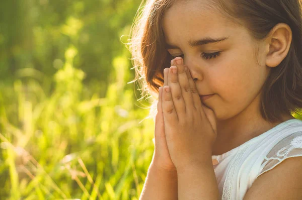 Niña cerró los ojos, rezando en un campo durante el hermoso atardecer. Manos dobladas en concepto de oración por la fe —  Fotos de Stock