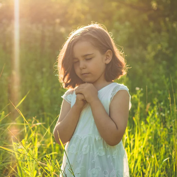 Маленька дівчинка закрила очі, молячись в полі під час прекрасного заходу сонця. Руки складені в молитві концепція віри — стокове фото