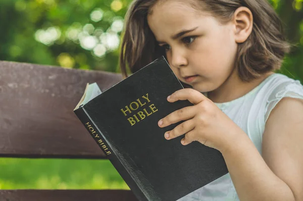 Leyendo la Sagrada Biblia al aire libre. Chica cristiana sostiene la Biblia en sus manos sentada en un banco —  Fotos de Stock