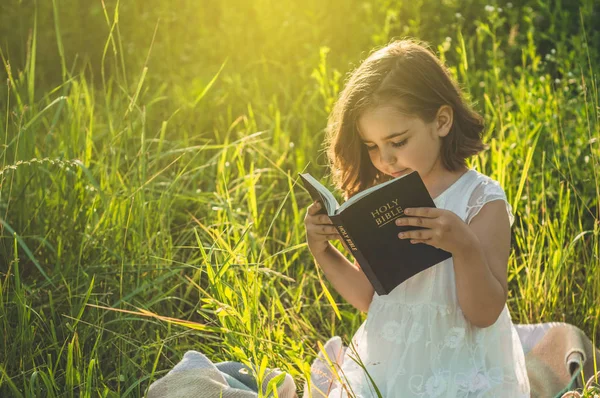La chica cristiana tiene la Biblia en sus manos. Leyendo la Santa Biblia en un campo durante el hermoso atardecer. Concepto de fe —  Fotos de Stock