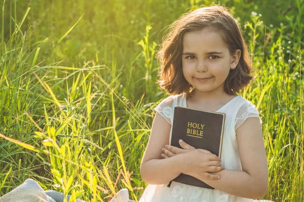 Christian girl holds bible in her hands. Reading the Holy Bible in a field during beautiful sunset. Concept for faith Royalty Free Stock Images