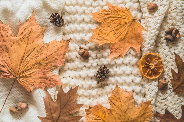 Fall Background with warm sweaters. Pile of knitted clothes with autumn leaves, warm background, knitwear, space for text