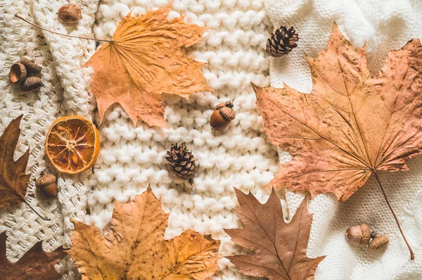 Fall Background with warm sweaters. Pile of knitted clothes with autumn leaves, warm background, knitwear, space for text