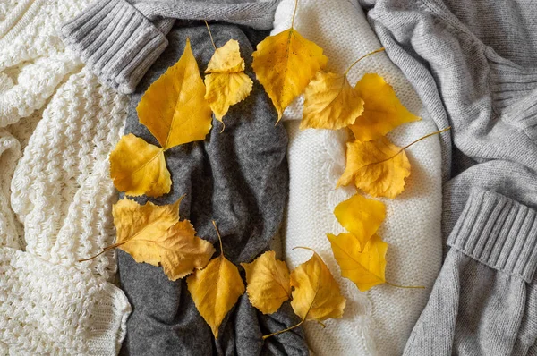 Sonbahar yaprakları, sıcak arka plan, triko, metin için alan ile örme giysi yığını — Stok fotoğraf