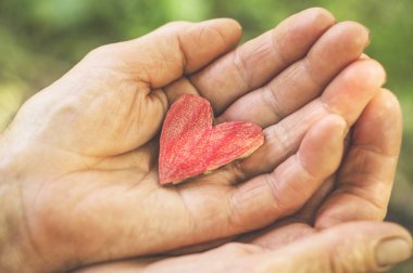 Yaşlı el büyükanne kalp tutun. Yaşlı insanlar büyükanne dostluk birliktelik ilişkisi koruma aşk aile Kavramı fikri