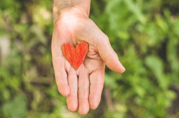 La abuela de la vieja mano sostiene el corazón. Concepto de la idea del amor de la familia la protección de las personas mayores de la abuela amistad relación de unión — Foto de Stock