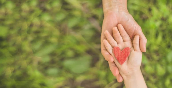 Childs 'ın eli ve yaşlı büyükanne. Çocukları ve yaşlıları koruyan aile kavramı 
