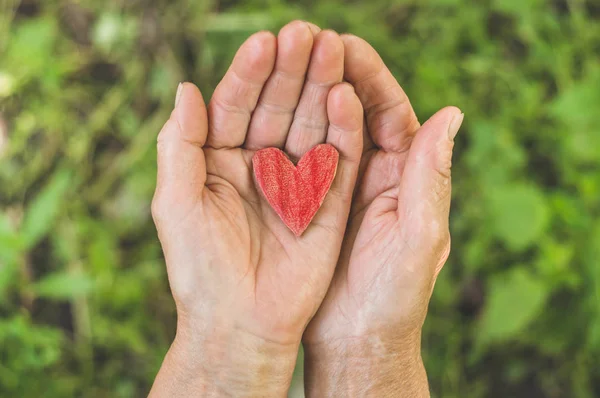 La abuela de la vieja mano sostiene el corazón. Concepto de la idea del amor de la familia la protección de las personas mayores de la abuela amistad relación de unión — Foto de Stock