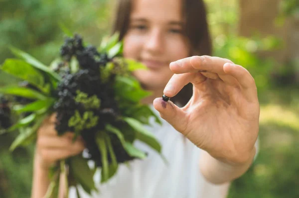 Chica sostiene en las manos racimos fruta saúco negro en el jardín (Sambucus nigra). Anciano, anciano negro . — Foto de Stock