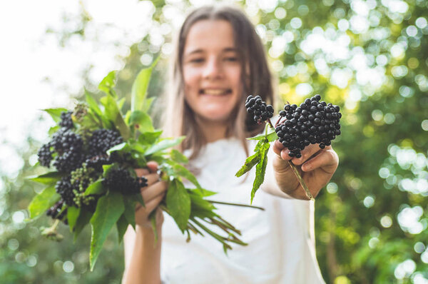 Девушка держит в руках кластеры фруктов черной бузины в саду (Sambucus nigra). Старейшина, черная бузина
.