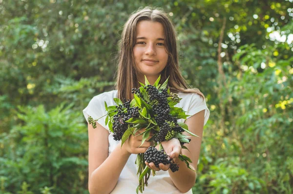 Flicka innehar i händerna kluster frukt Svart fläder i trädgården (Sambucus nigra). Äldste, Black Elder. — Stockfoto