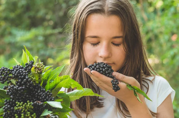 Κορίτσι κρατά στα χέρια συστάδες φρούτων μαύρο μούρο στον κήπο (Σαμπούκους nigra). Πρεσβύτερε, μαύρος πρεσβύτερος. — Φωτογραφία Αρχείου