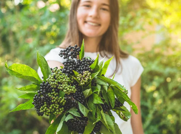 Mädchen hält Trauben von schwarzen Holunder im Garten (sambucus nigra) in den Händen. Holunder, schwarzer Holunder. — Stockfoto