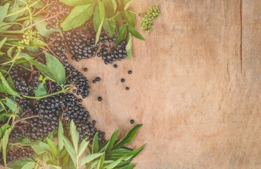 Ahşap bir arka planda meyve siyah mürver (Sambucus nigra). Yaşlı, siyah yaşlı.
