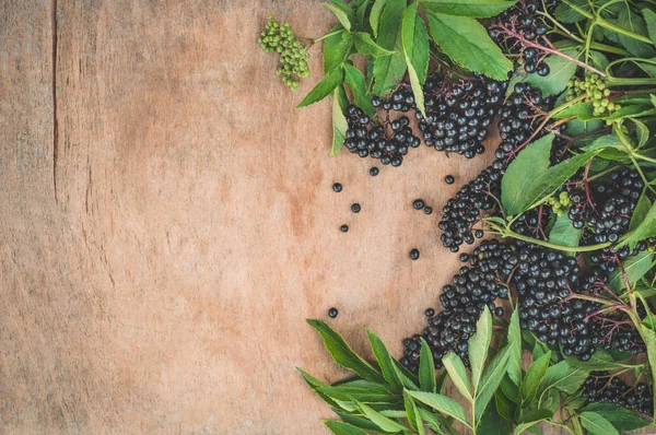 Frutta a grappolo sambuco nero su fondo di legno (Sambucus nigra). Anziano, Anziano nero — Foto Stock