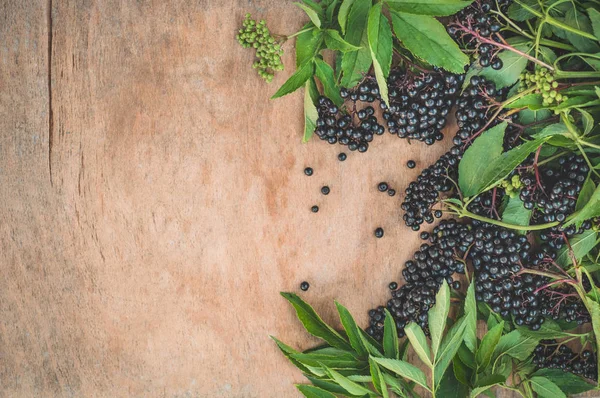 Cluster buah-buahan elderberry hitam pada latar belakang kayu (Sambucus nigra). Sesepuh, hitam tua Stok Gambar Bebas Royalti