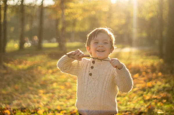 Gelukkig klein kind jongen lachen en spelen in de herfst — Stockfoto