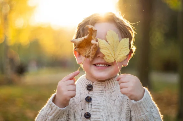 Счастливый маленький мальчик, смеющийся и играющий осенью — стоковое фото