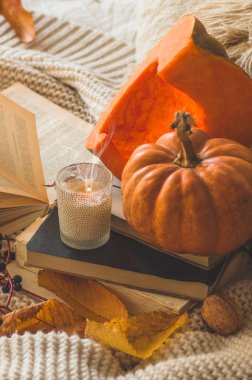 Oturma odasının içerisindeki hayat ayrıntıları. 