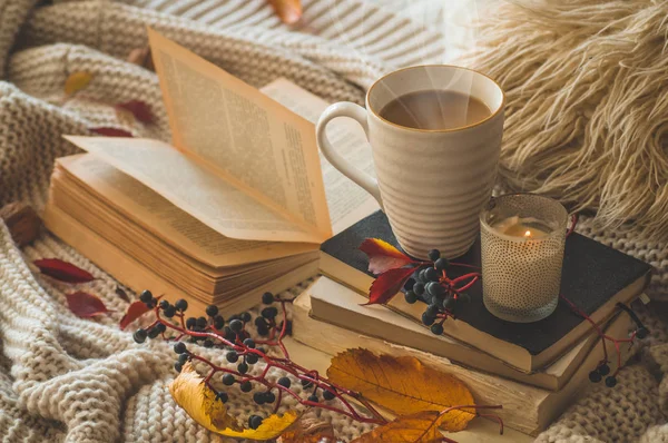 Still life details in home interior of living room. — Stock Photo, Image