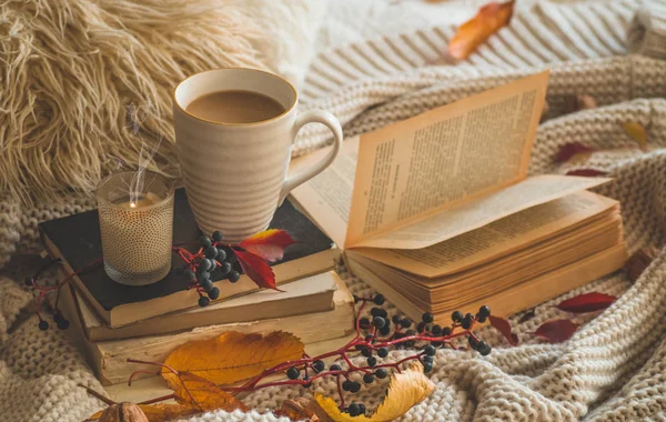 Oturma odasının içerisindeki hayat ayrıntıları. 