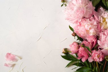 Şakayık Flat yatıyordu. Her bayram için güzel bir şakayık çiçeği.