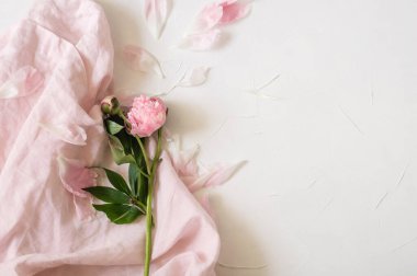 Peony Flat yatıyordu. Her bayram için güzel bir şakayık çiçeği. 