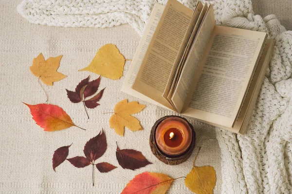 秋の装飾。読んで、休憩。居心地の良い秋や冬のコンセプト — ストック写真