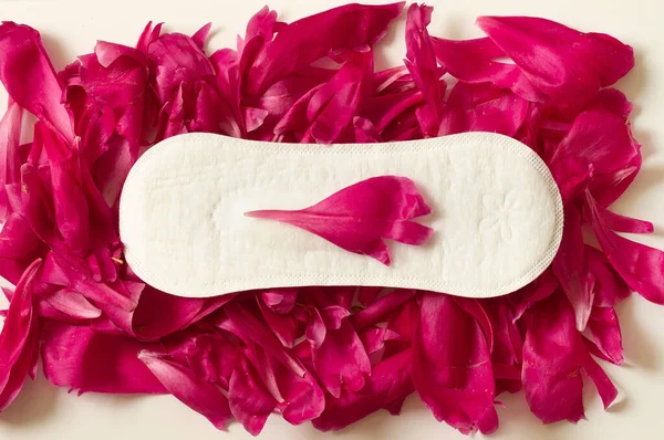 Conceito do período menstrual. Almofadas femininas brancas higiénicas. Menstruação, proteção — Fotografia de Stock