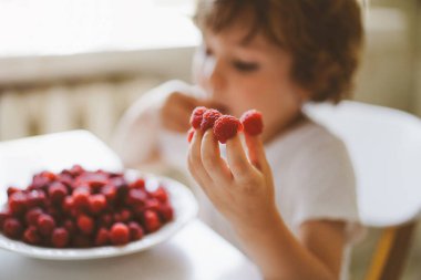 Güzel bir çocuk taze ahududu yiyor. Sağlıklı gıda, çocukluk ve gelişme. 