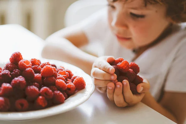 Lindo niño hermoso comiendo frambuesas frescas. Alimentación saludable, infancia y desarrollo. — Foto de Stock