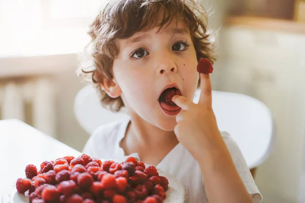 Lindo niño hermoso comiendo frambuesas frescas. Alimentación saludable, infancia y desarrollo. —  Fotos de Stock